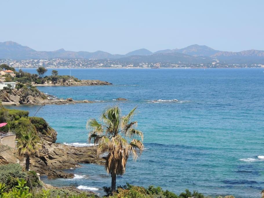 T3 Vue Mer. Velos, Paddles Sur Place *